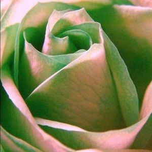 Meet your Posher, Margaret